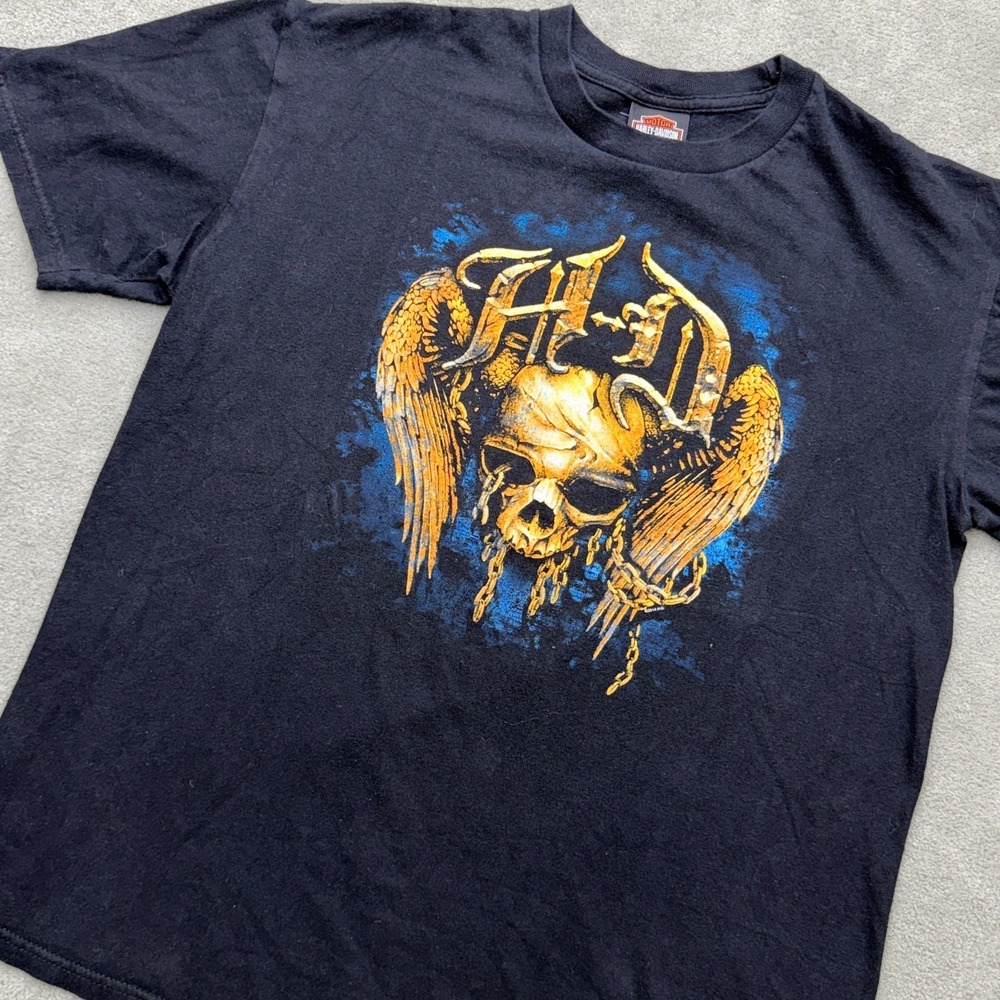 Harley-Davidson Unchained Skull Graphic T-Shirt Black Mens Size Lg Brunswick, Ga